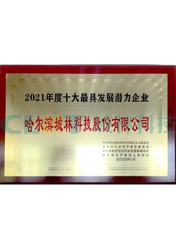 2021年度十大最具发展潜力企业